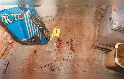 pictures of the murdaugh crime scene|Alex Murdaugh Trial: Gruesome Crime Scene Photos。